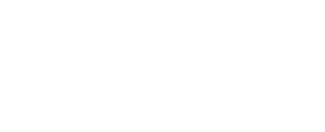 logo light